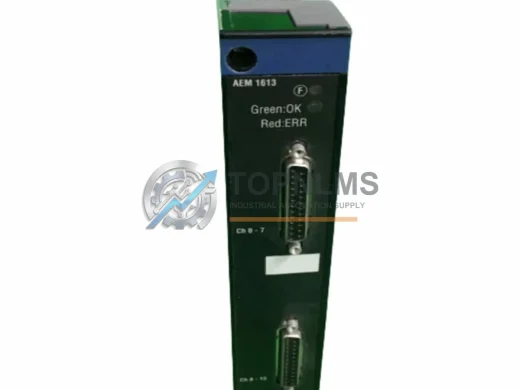Schneider Electric TSXAEM1613 industrial automation spare part