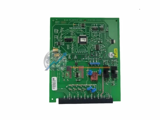 Endress+Hauser 319100-0200B industrial automation spare part