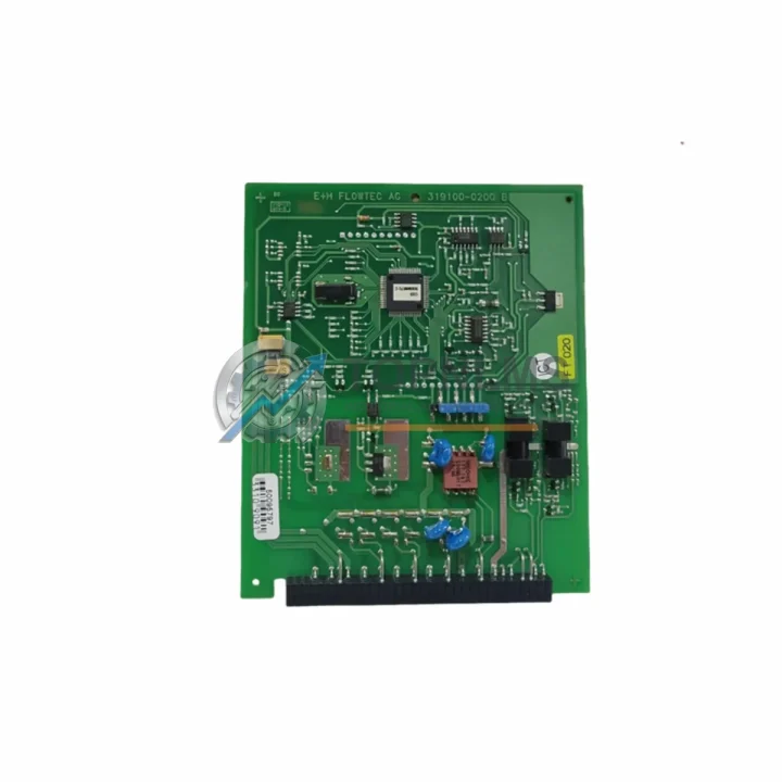 Endress+Hauser 319100-0200B Control Board product image