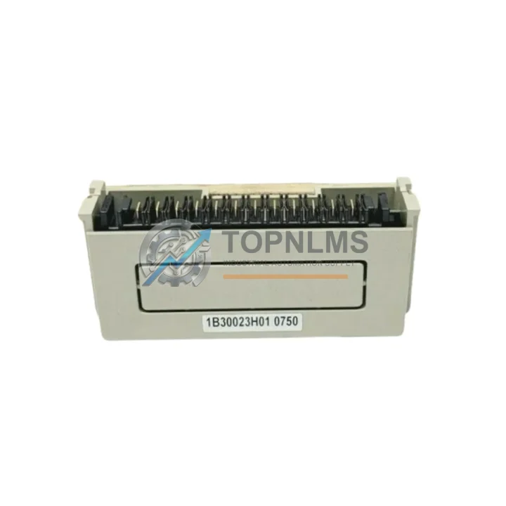 Emerson 1B30023H01 I/O Module product image