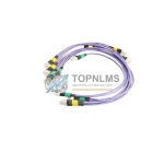 Honeywell 51202329-212 Cable & Connector detail image 3