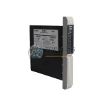 Siemens 39SDM024DCCBN 16101-174/12 I/O Module product image