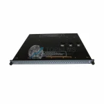 Triconex 3636T I/O Module detail image 2