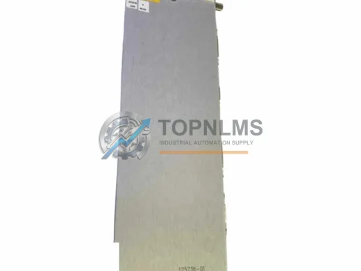 Bently Nevada 125736-01 industrial automation spare part