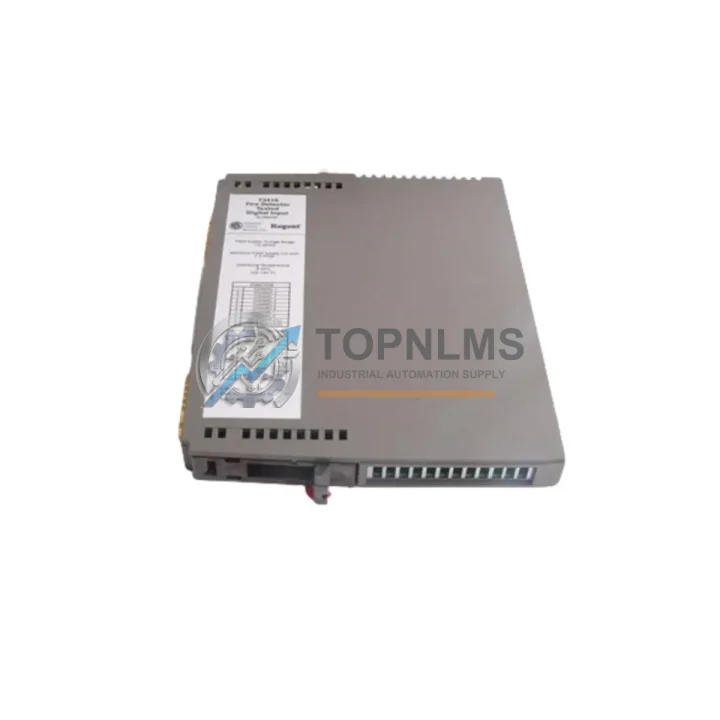 ICS Triplex T9482 I/O Module product image